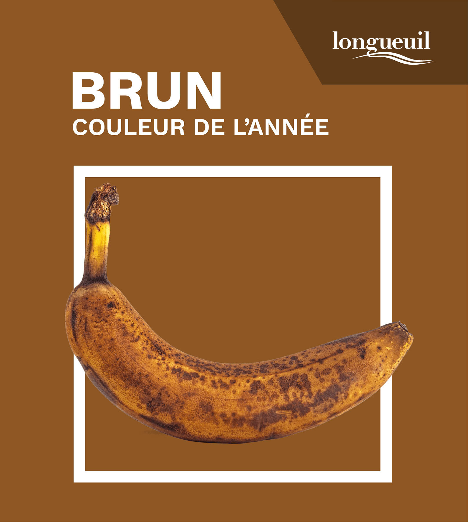 Faire du brun une couleur fière et assumée.